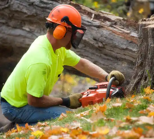 tree services Walled Lake